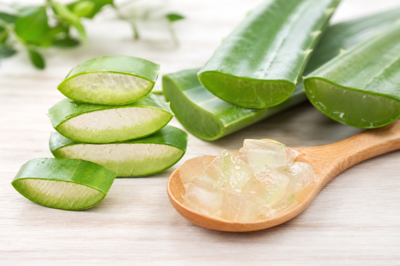 Y así soy yo... ¡El aloe!